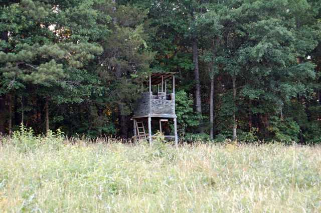 4249 Highway 191, Comer, GA 30629 photo 9