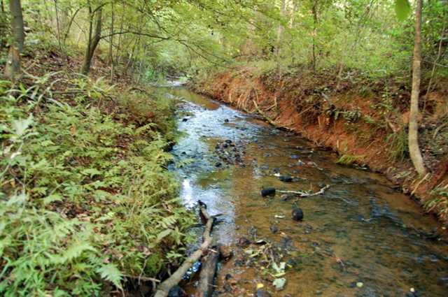 4249 Highway 191, Comer, GA 30629 photo 8