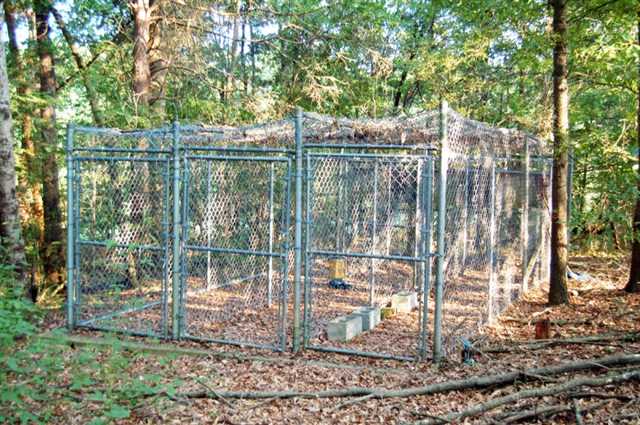 4249 Highway 191, Comer, GA 30629 photo 5