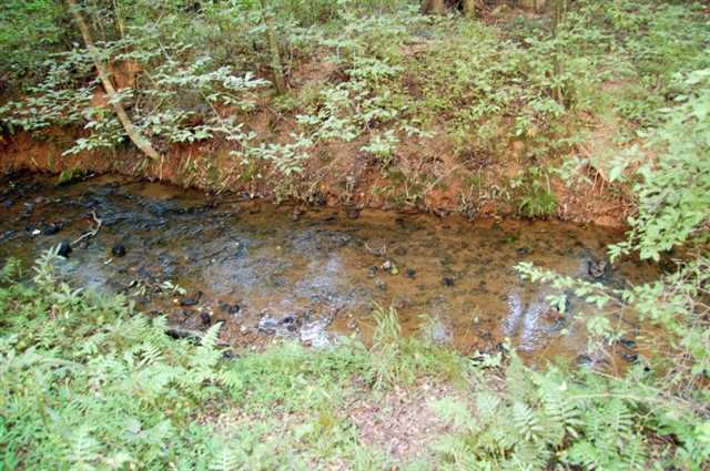 4249 Highway 191, Comer, GA 30629 photo 7