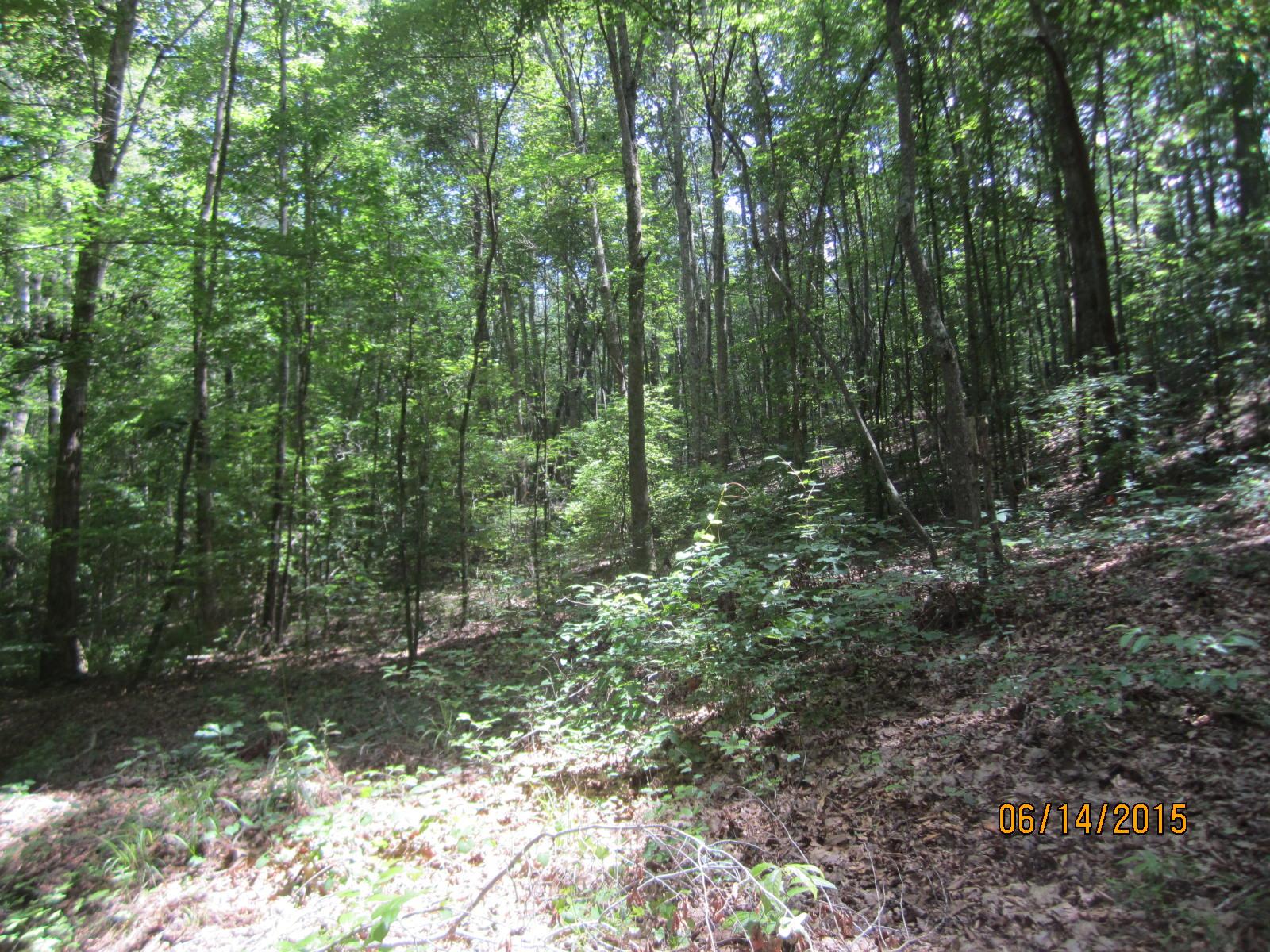 190 Rolling Rock Rd, Bremen, GA 30110 photo 13
