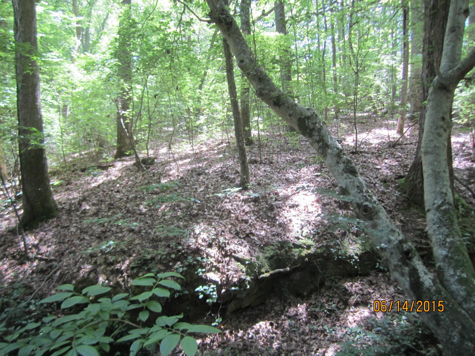 190 Rolling Rock Rd, Bremen, GA 30110 photo 10
