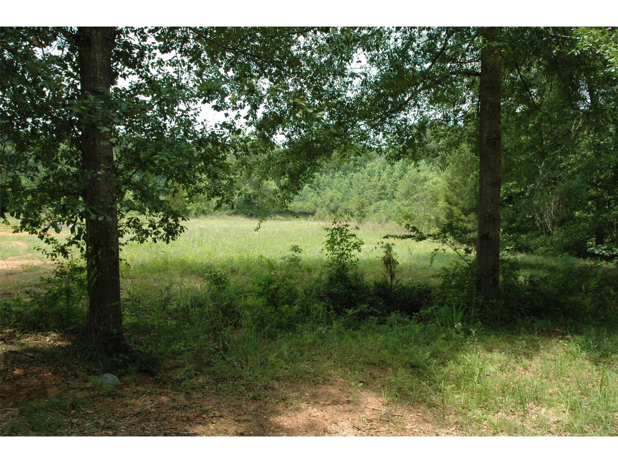 441 Hammett Rd, Lagrange, GA 30240 photo 3