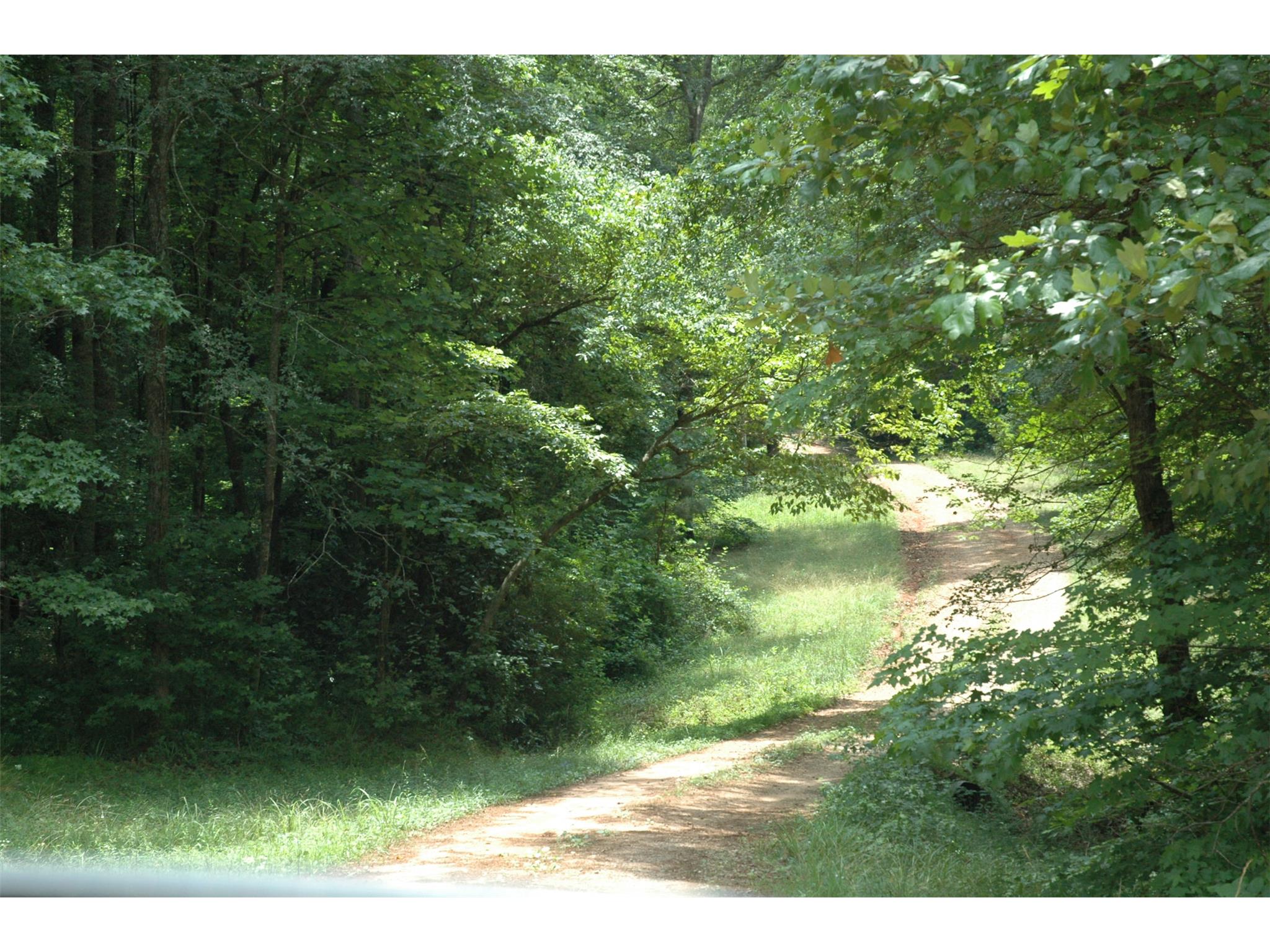 441 Hammett Rd, Lagrange, GA 30240 photo 7