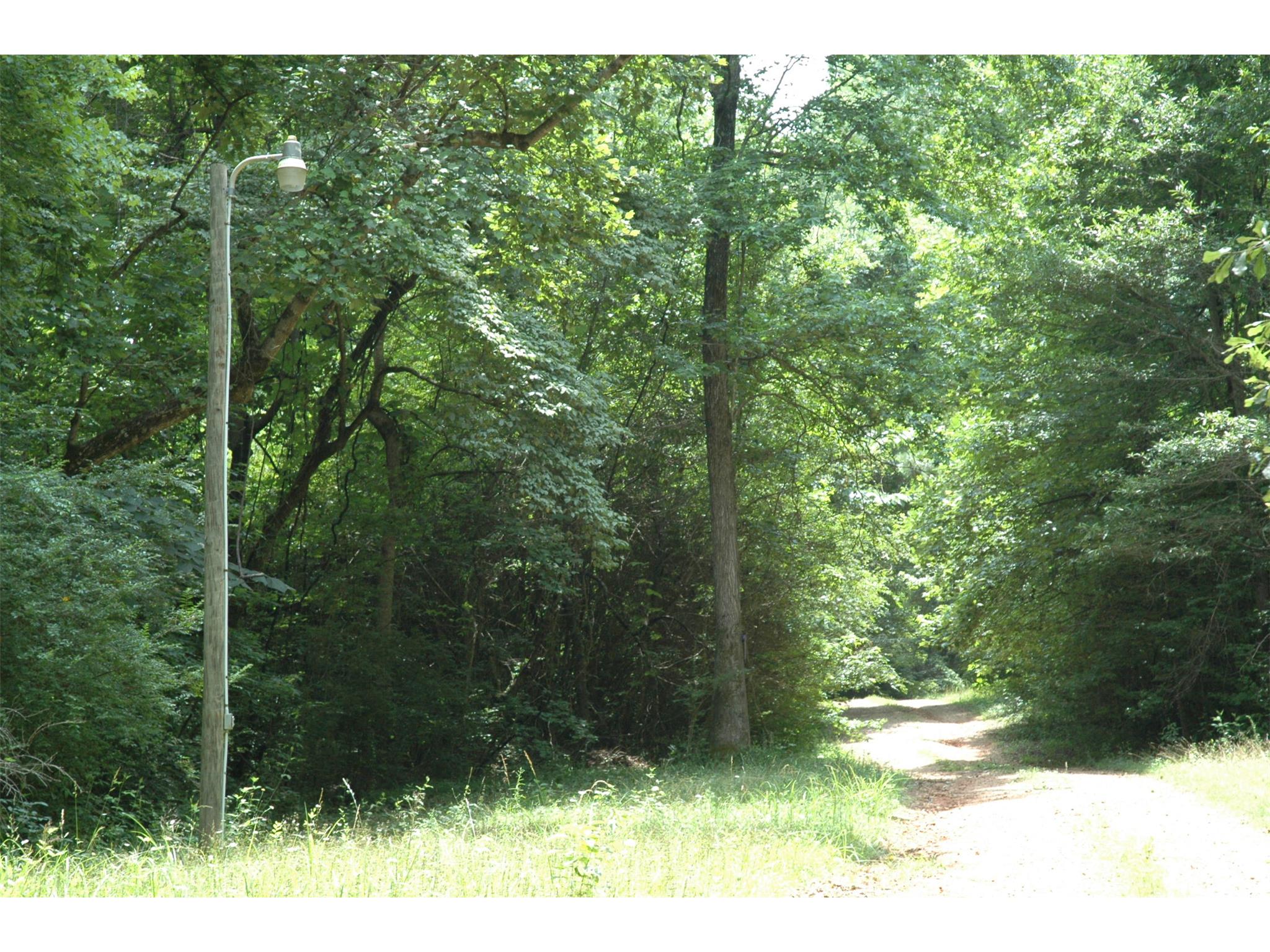 441 Hammett Rd, Lagrange, GA 30240 photo 8