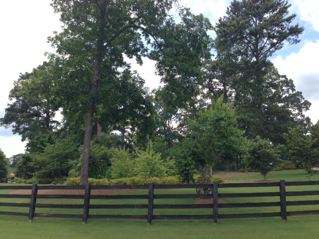7551 Springbox Dr, Fairburn, GA 30213 photo 5