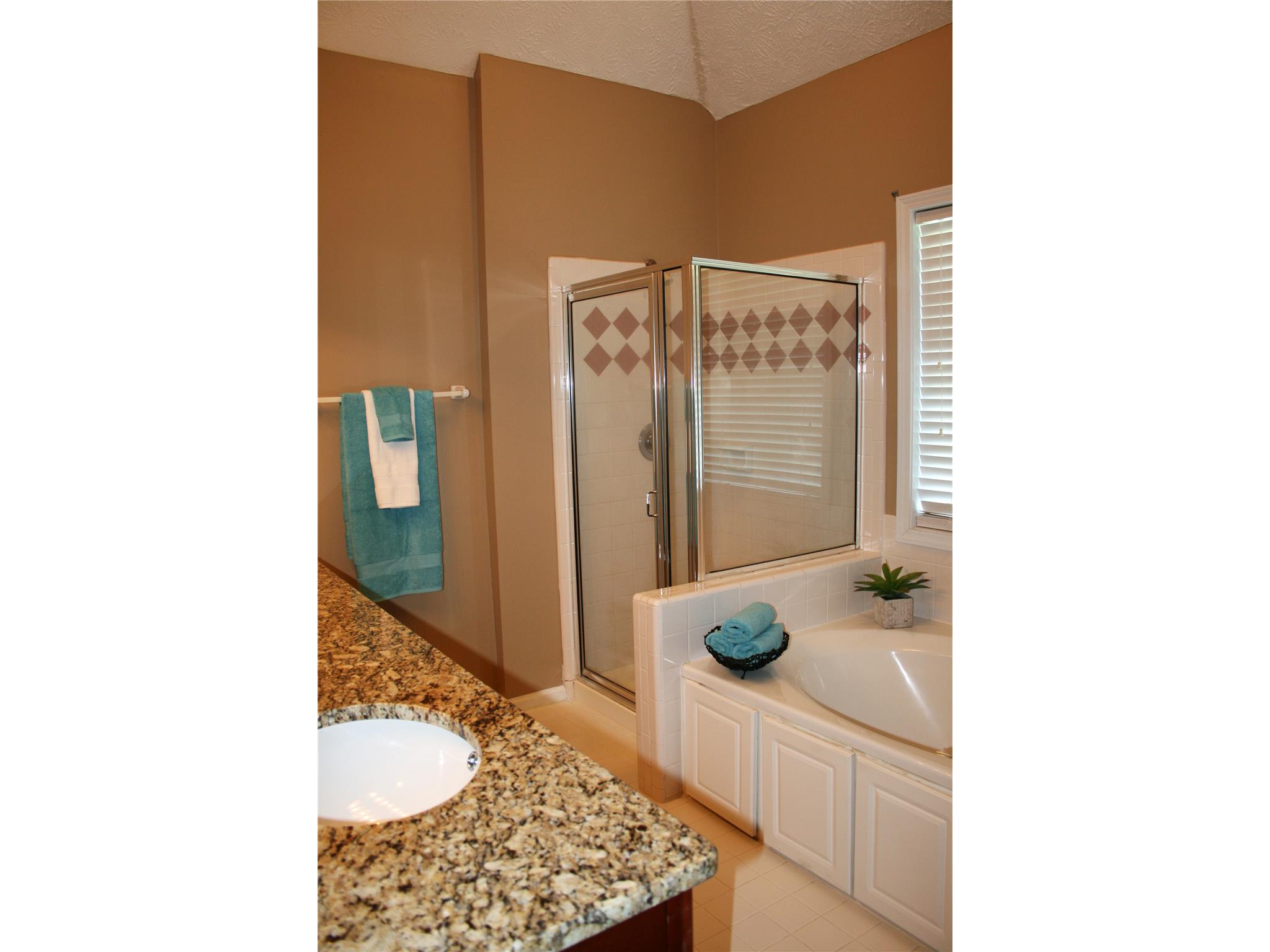 100 Oakwood Lakes Dr, Hampton, GA 30228 photo 18