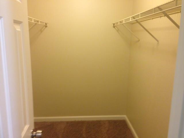 1751 Graystone Dr, Hampton, GA 30228 photo 8