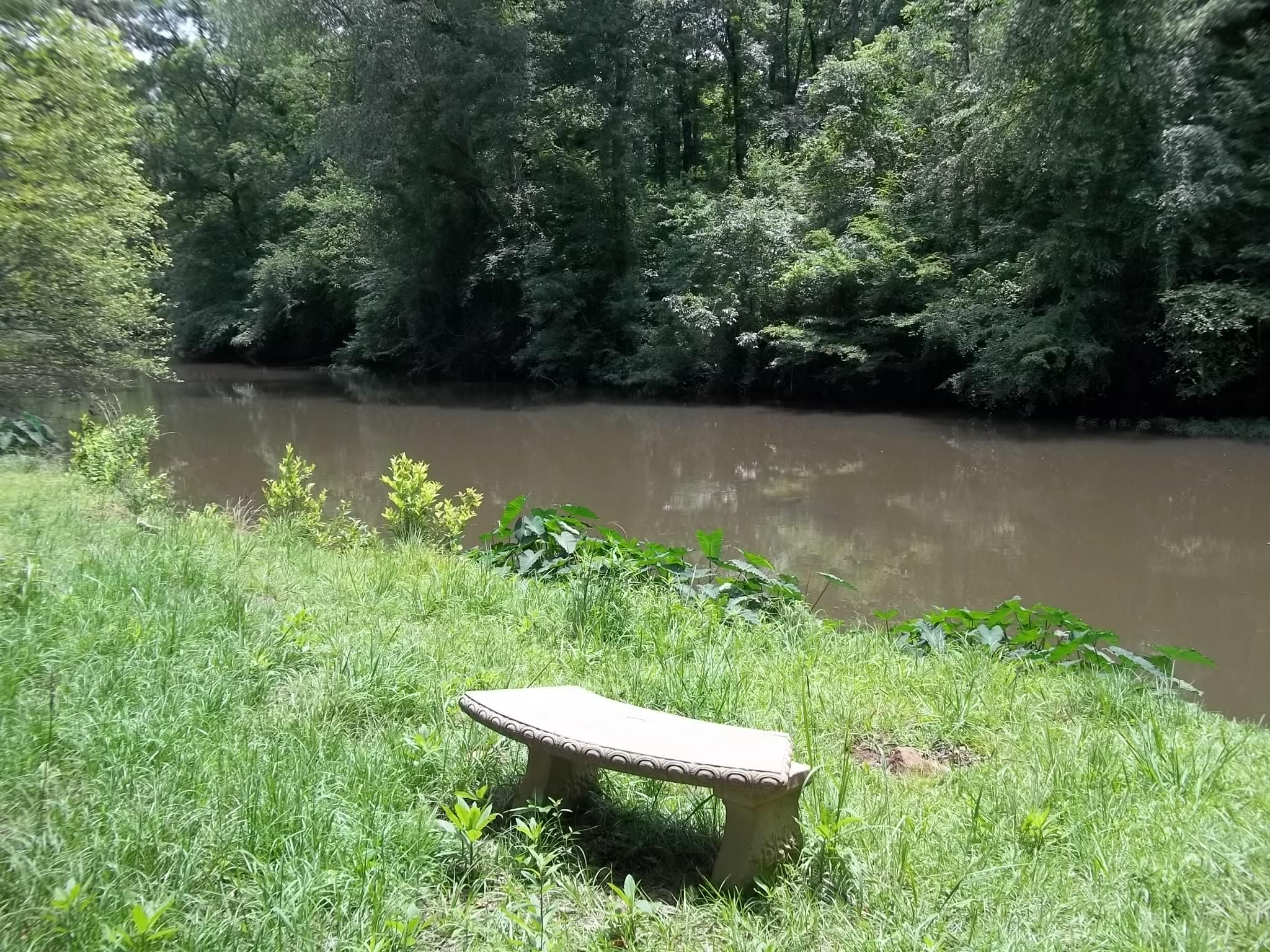 8 Riverview Rd, Jackson, GA 30233 photo 12