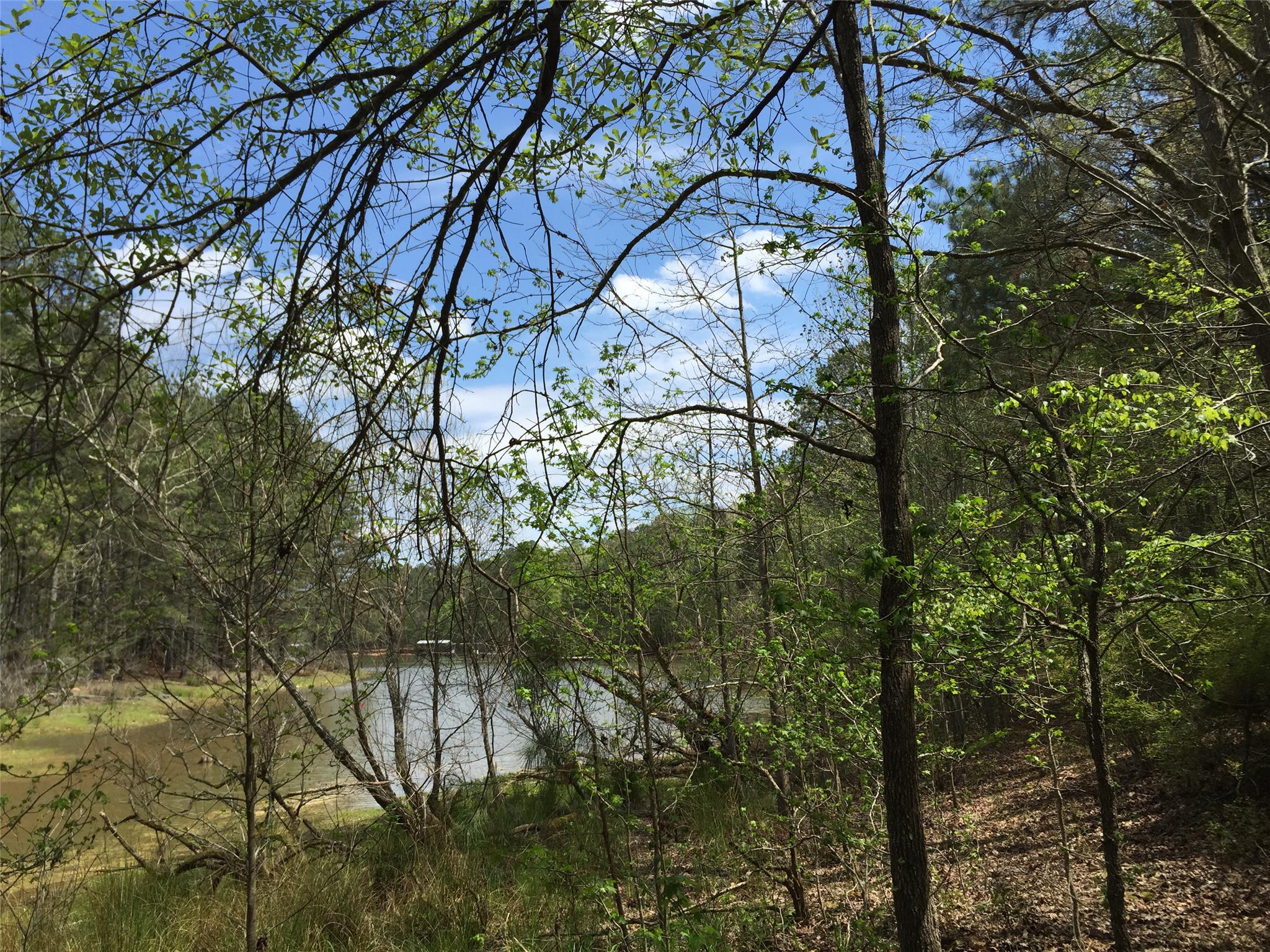 57 S Pine Cove Dr, Lagrange, GA 30240 photo 4