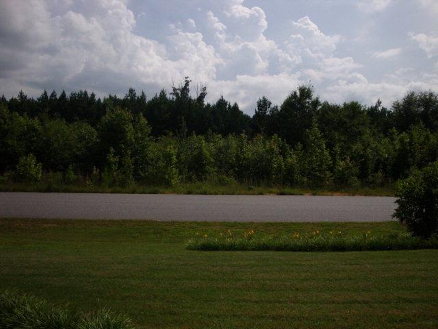 175 Noahs Way, Colbert, GA 30628 photo 11