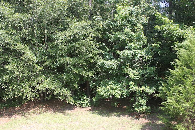132 Perkins Rd, Barnesville, GA 30204 photo 23