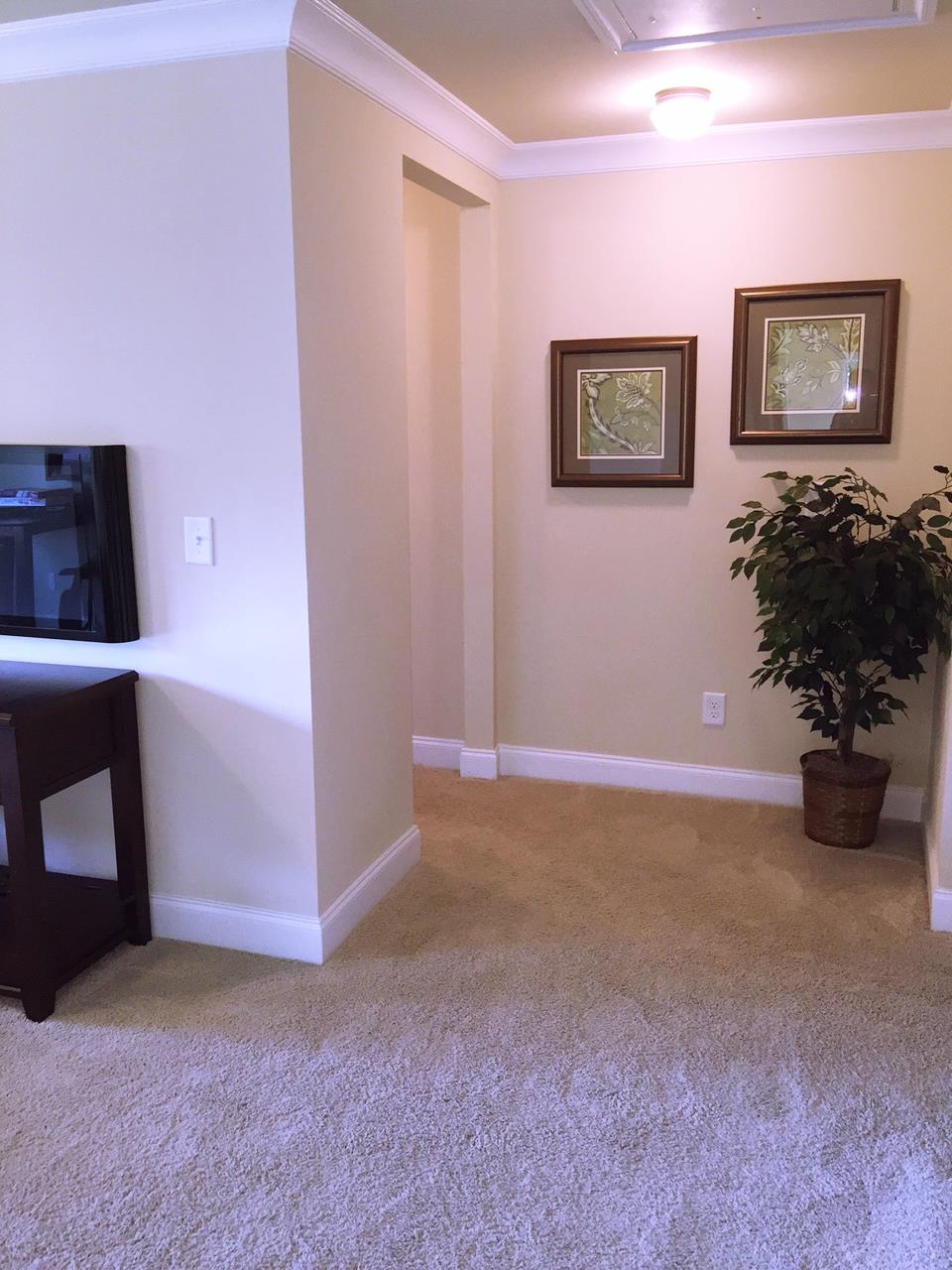 2458 Beauchamp Ct, Buford, GA 30519 photo 19