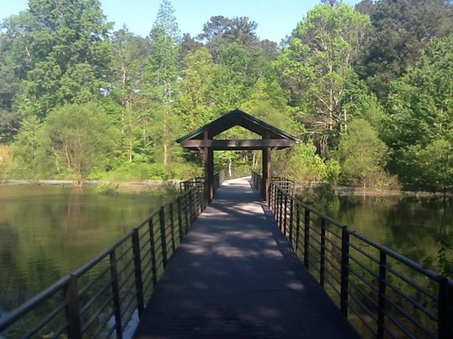 120 Silver Ridge Rd, Covington, GA 30016 photo 5