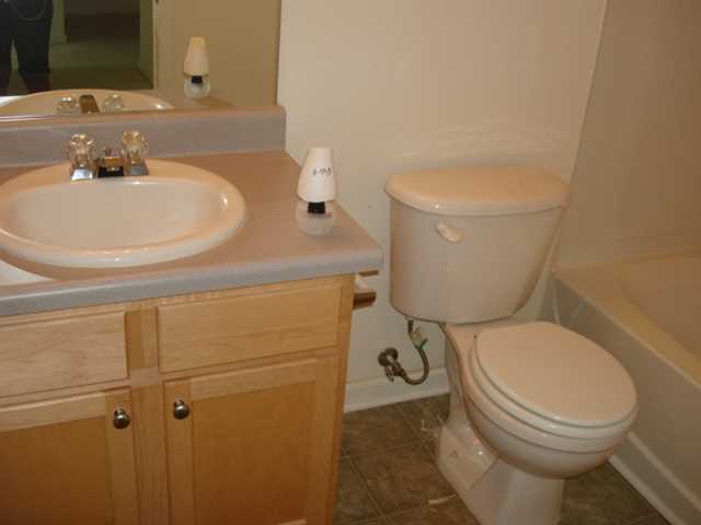 1509 Paramount Ln, Sugar Hill, GA 30518 photo 10