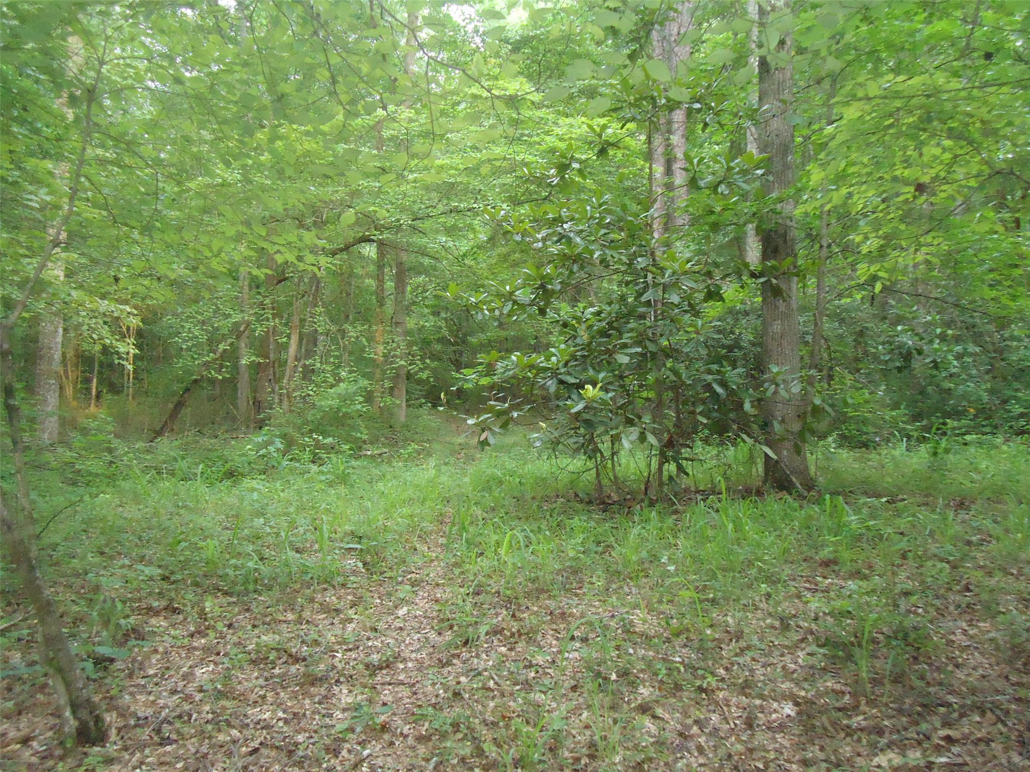 411 Hammett Rd, Lagrange, GA 30241 photo 3