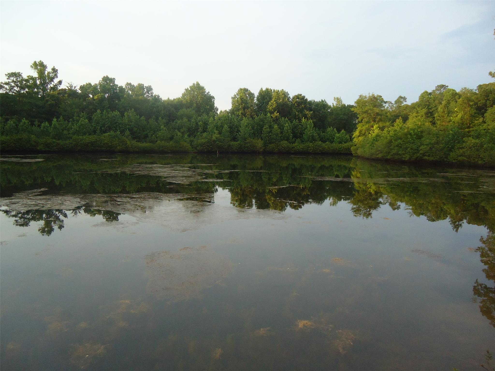 411 Hammett Rd, Lagrange, GA 30241 photo 6
