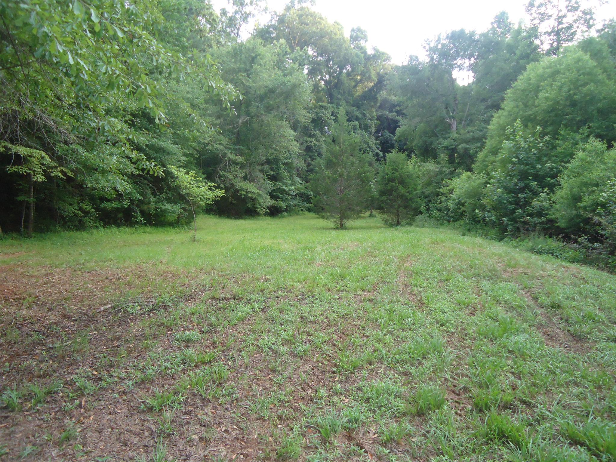411 Hammett Rd, Lagrange, GA 30241 photo 4