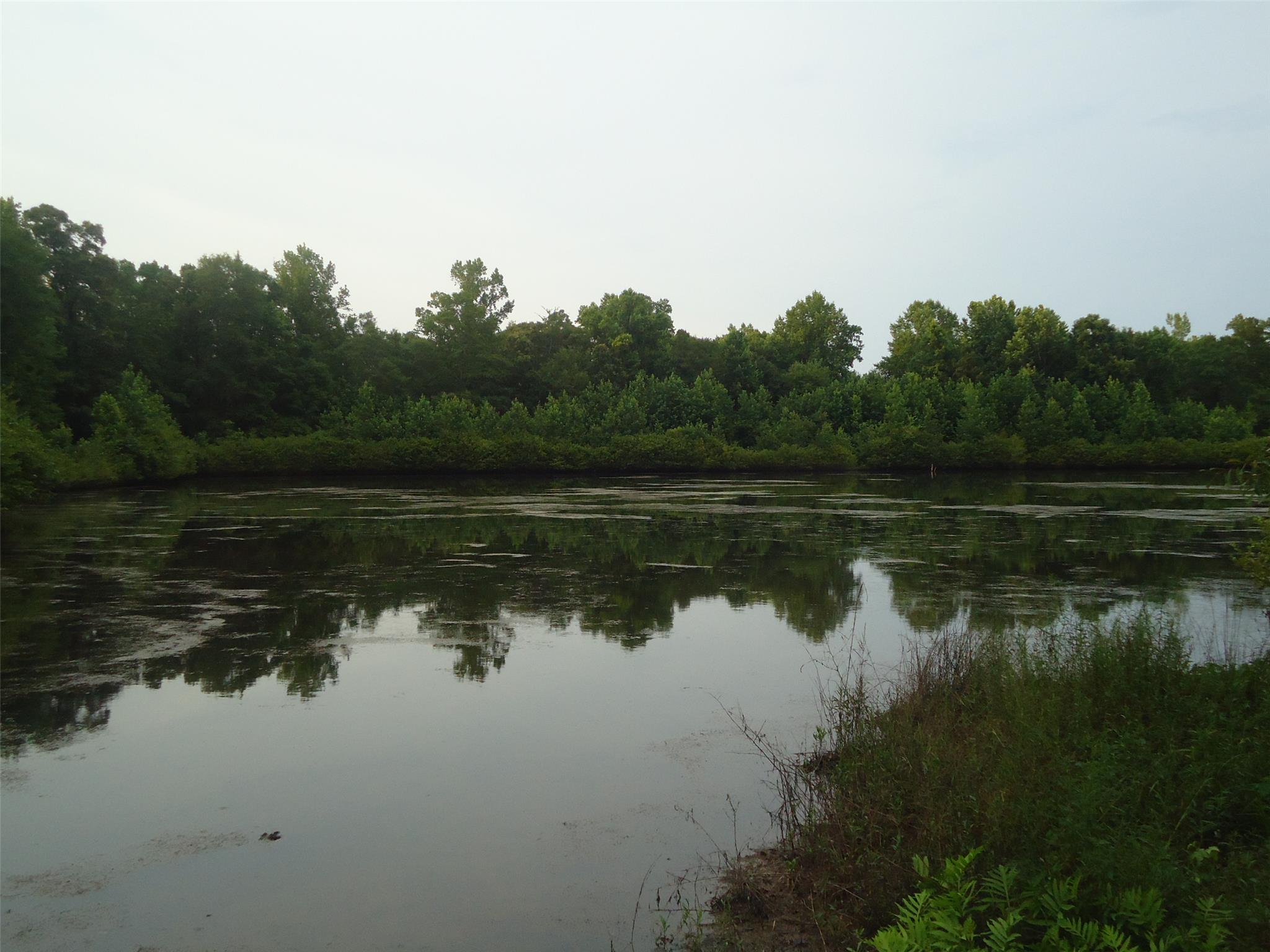 411 Hammett Rd, Lagrange, GA 30241 photo 8