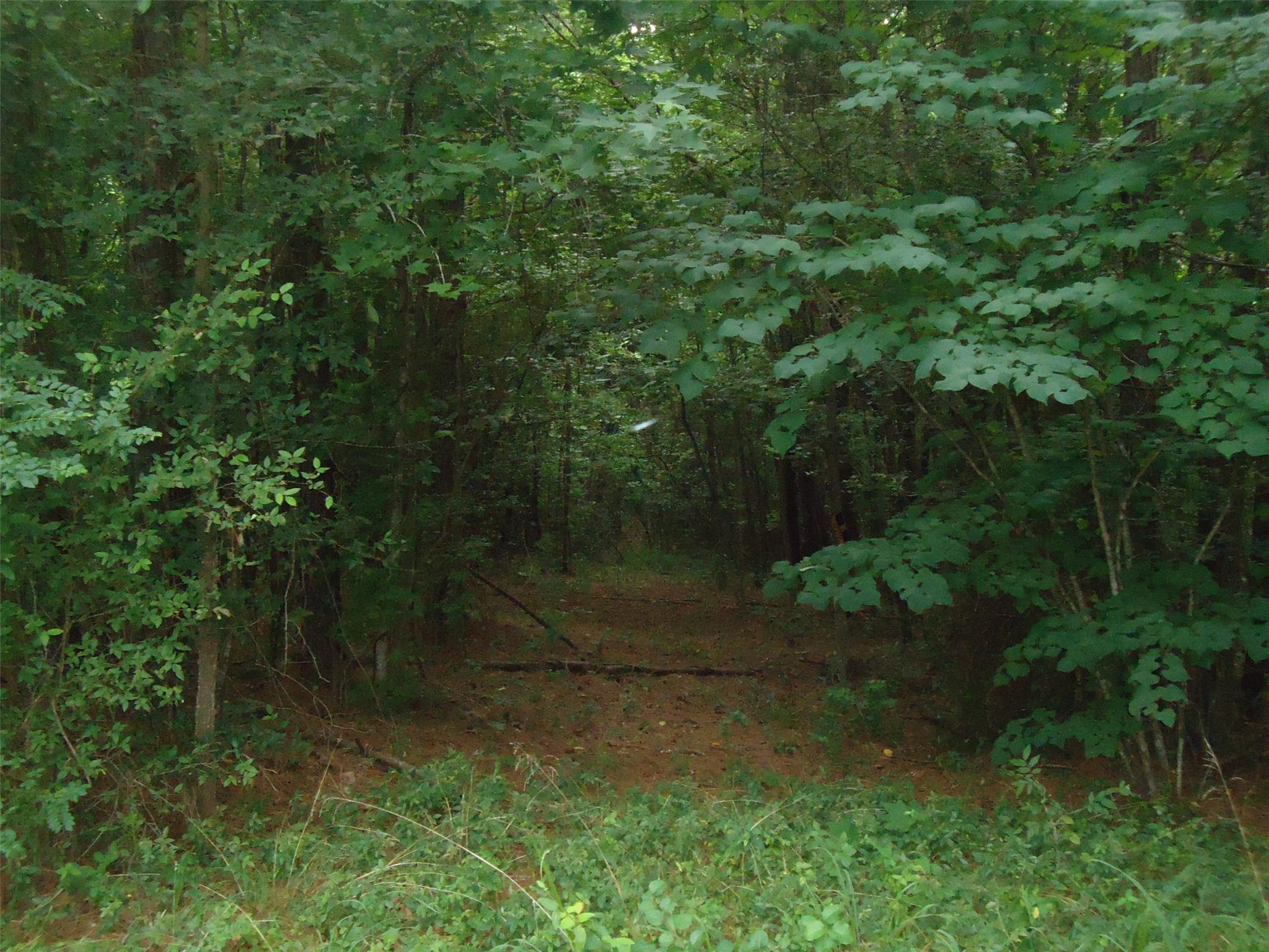 411 Hammett Rd, Lagrange, GA 30241 photo 5
