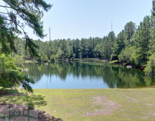 147 Hardy Rd, Rincon, GA 31326 photo 25