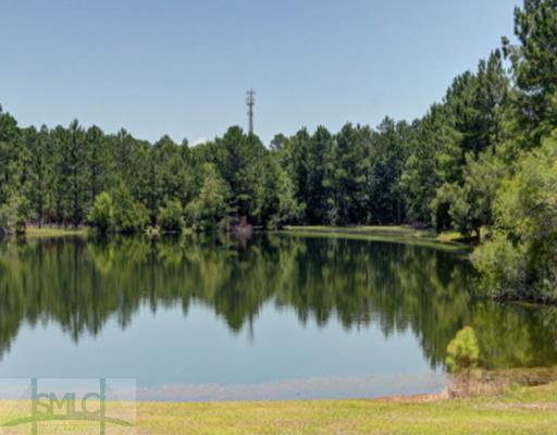 147 Hardy Rd, Rincon, GA 31326 photo 2