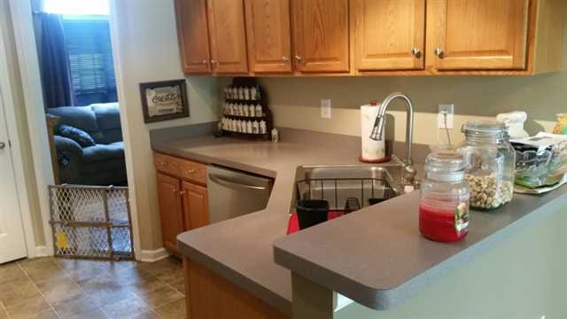 340 Sunset Loop, Cedartown, GA 30125 photo 8