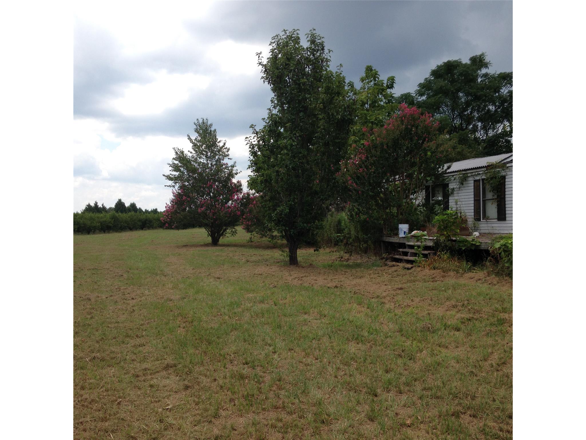 204 Long Dr, Byron, GA 31008 photo 19