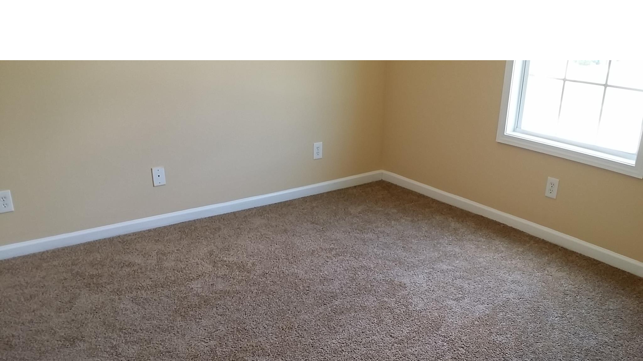 180 Trelawney Dr, Covington, GA 30016 photo 18