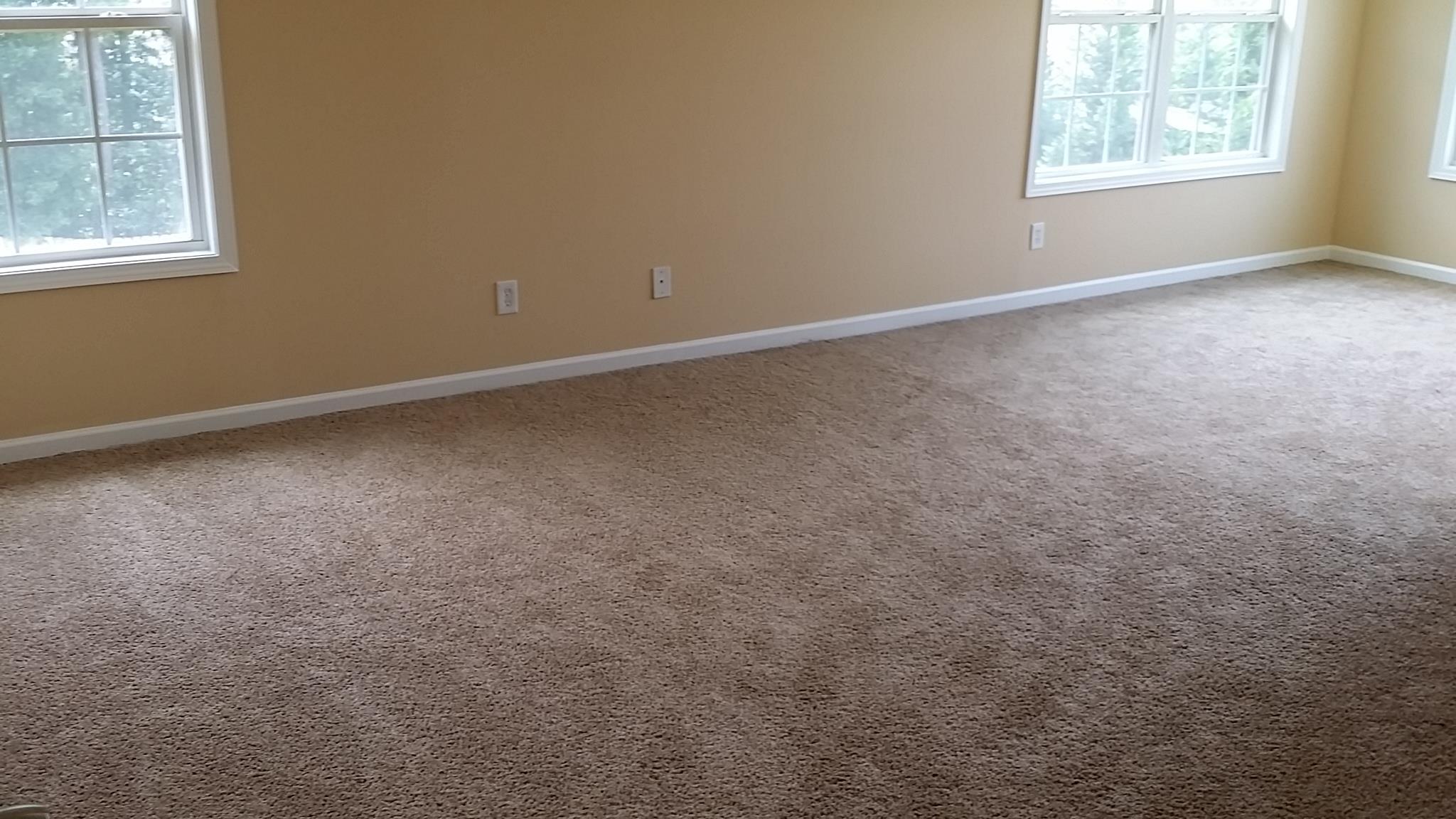 180 Trelawney Dr, Covington, GA 30016 photo 16