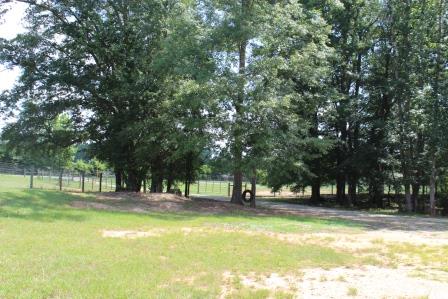 163 Gregory Rd, Forsyth, GA 31029 photo 15