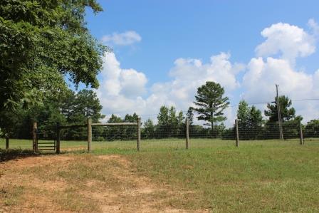 163 Gregory Rd, Forsyth, GA 31029 photo 18
