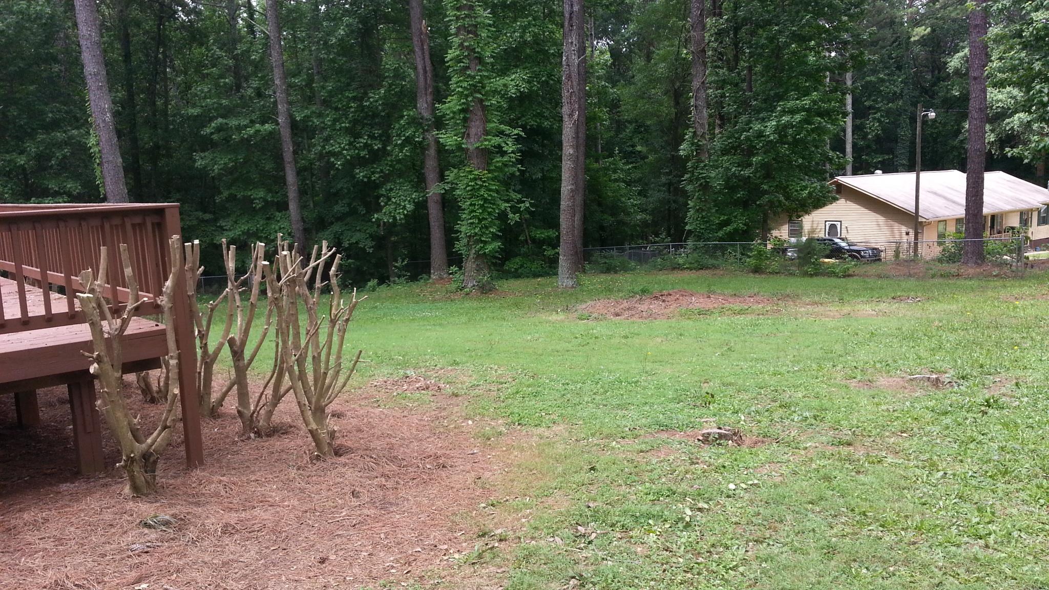35 Salem Branch Rd, Covington, GA 30016 photo 5
