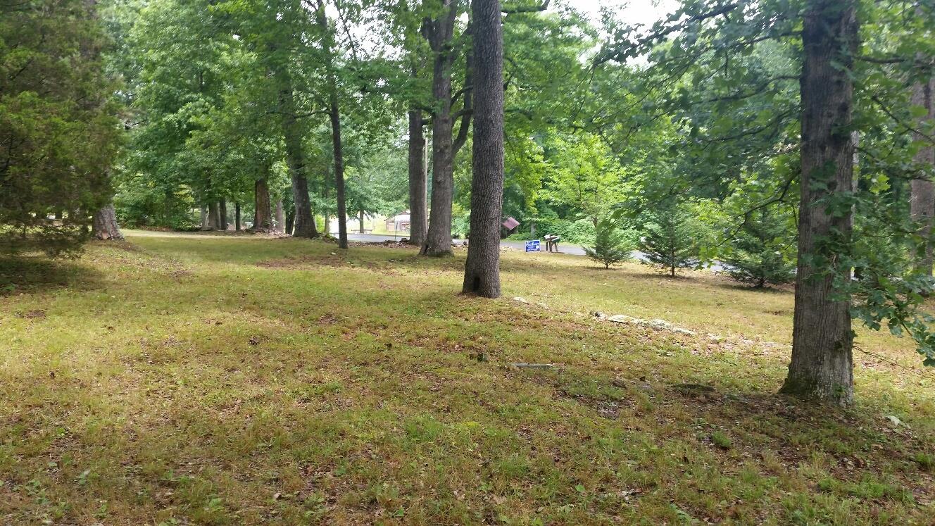 98 Gadsden, Menlo, GA 30731 photo 3
