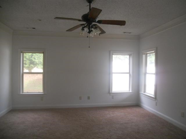 623 Ellison Rd, Tyrone, GA 30290 photo 12