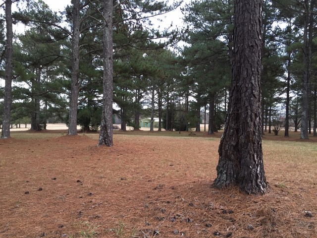 475 Lufbery Cir, Williamson, GA 30292 photo 10