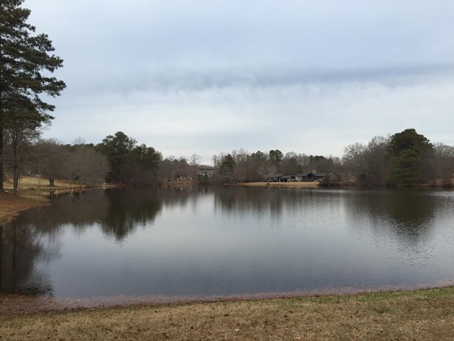 475 Lufbery Cir, Williamson, GA 30292 photo 4