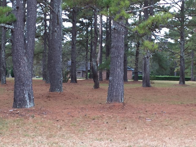 475 Lufbery Cir, Williamson, GA 30292 photo 11