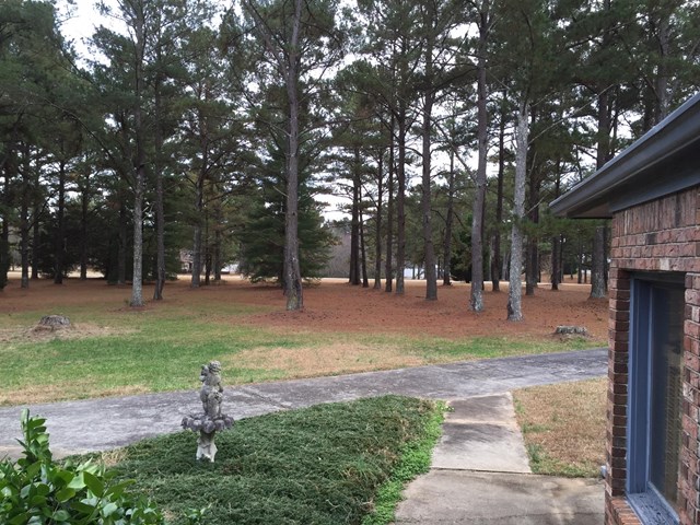 475 Lufbery Cir, Williamson, GA 30292 photo 13