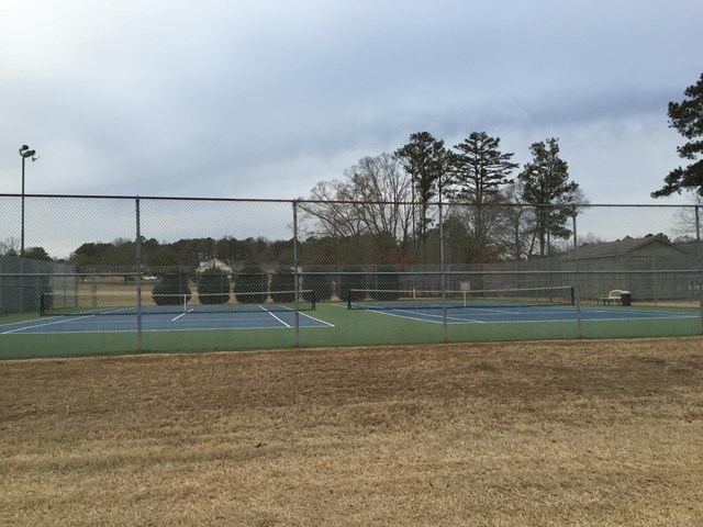 475 Lufbery Cir, Williamson, GA 30292 photo 5