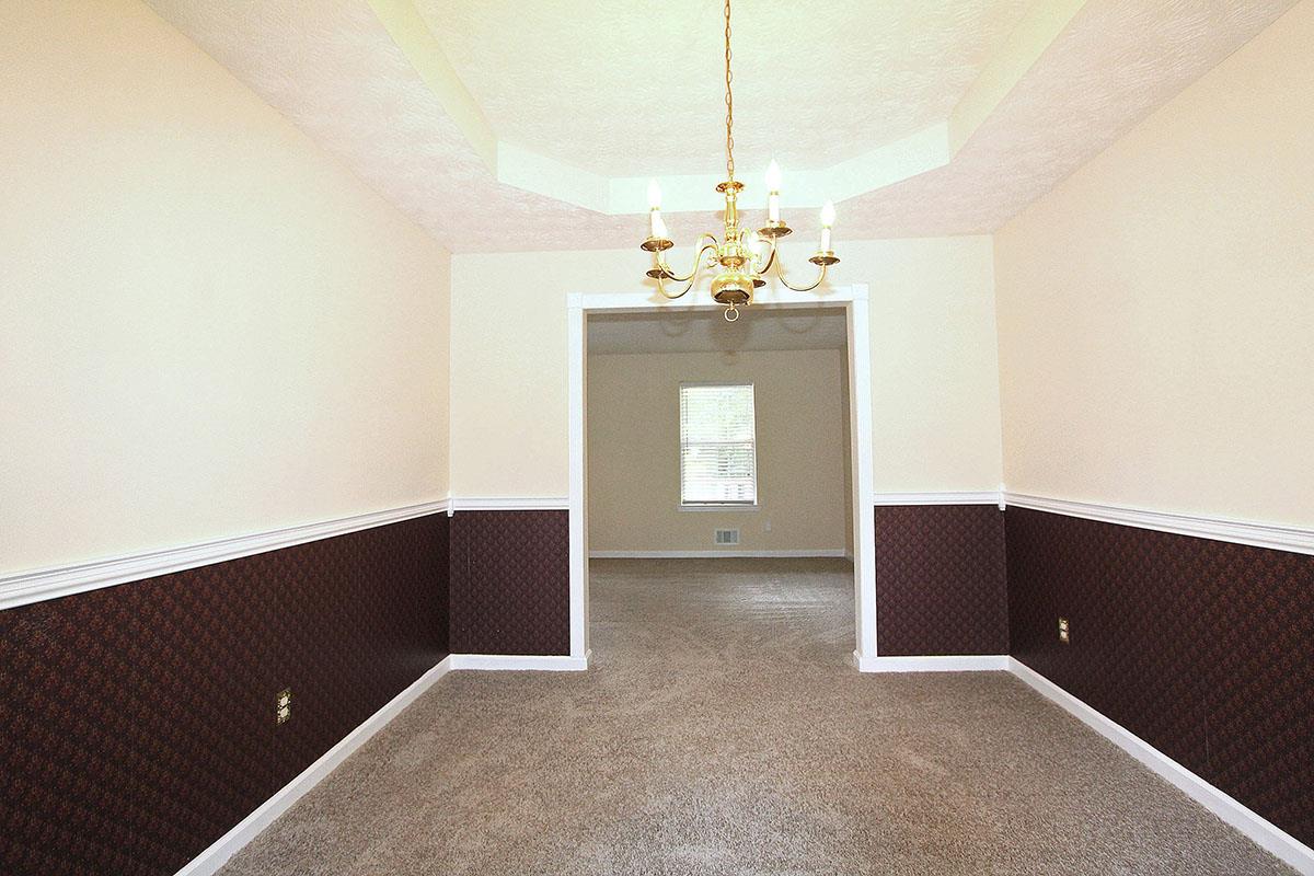234 River Trace Ct, Mcdonough, GA 30253 photo 7