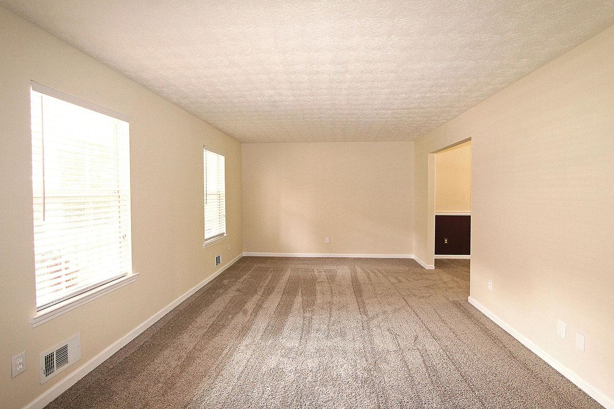 234 River Trace Ct, Mcdonough, GA 30253 photo 4