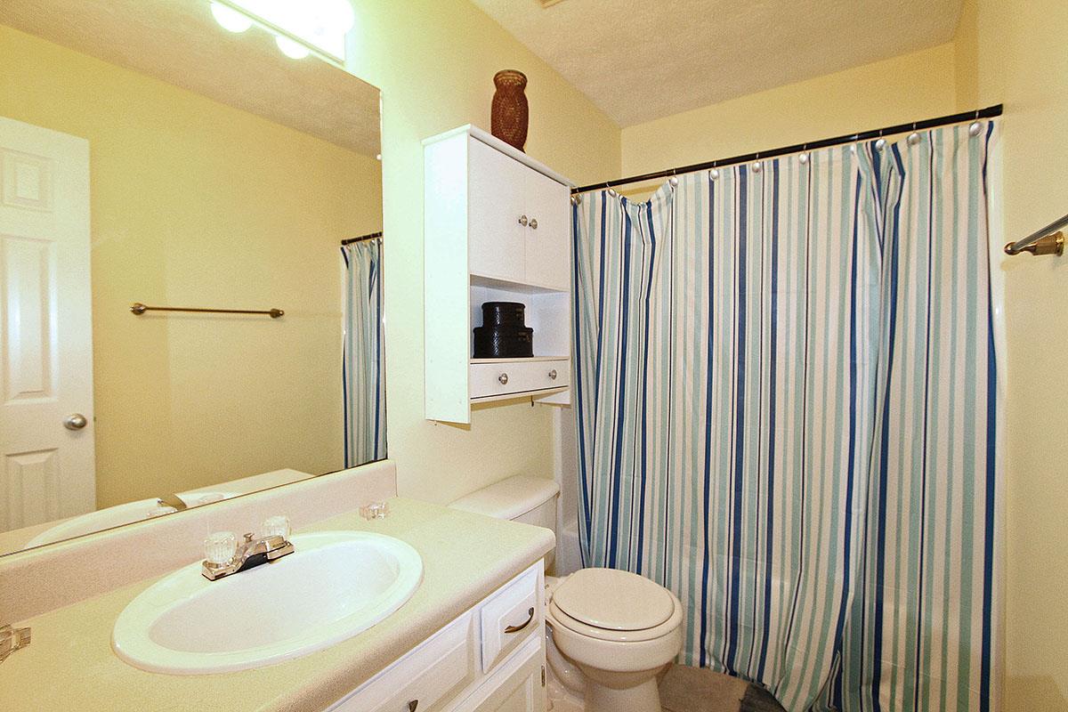 234 River Trace Ct, Mcdonough, GA 30253 photo 16