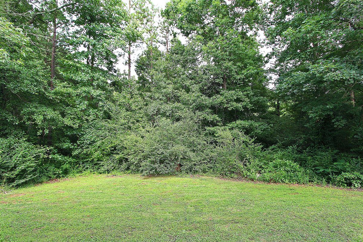 234 River Trace Ct, Mcdonough, GA 30253 photo 24