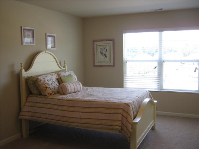 1066 Lehavre Ct, Hampton, GA 30228 photo 22