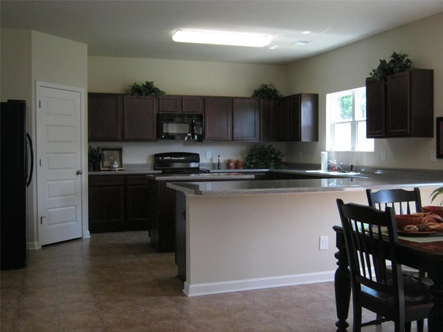 1066 Lehavre Ct, Hampton, GA 30228 photo 10