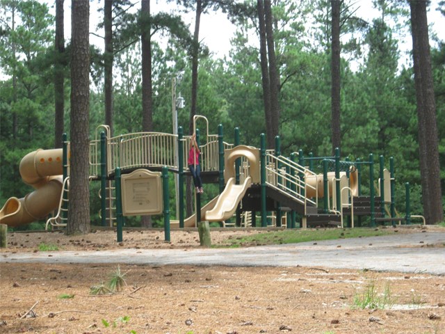 1066 Lehavre Ct, Hampton, GA 30228 photo 8