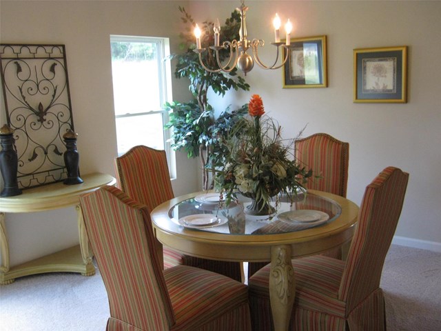 1066 Lehavre Ct, Hampton, GA 30228 photo 17