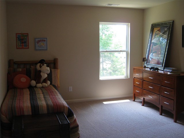 1066 Lehavre Ct, Hampton, GA 30228 photo 23