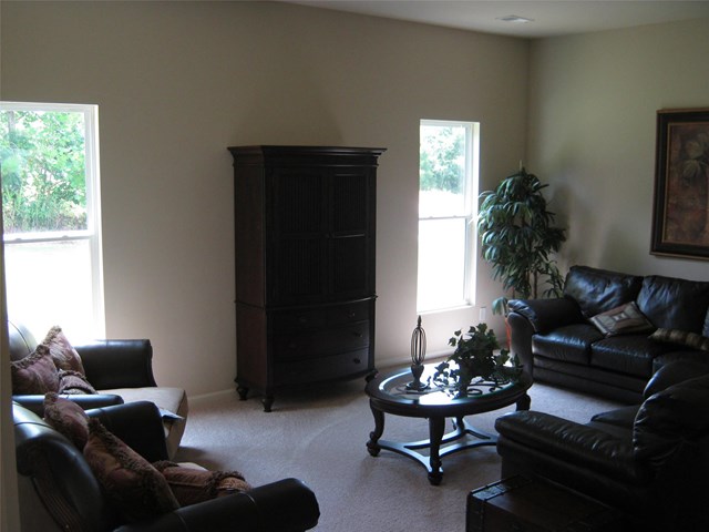 1066 Lehavre Ct, Hampton, GA 30228 photo 12